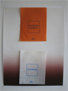 Gabriel Kuri - Economy Comfort (vertical), 2010
