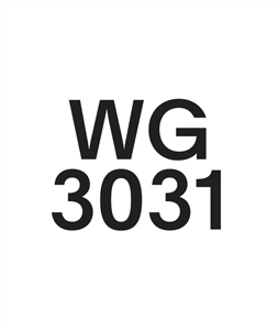 Wade Guyton, wg3031