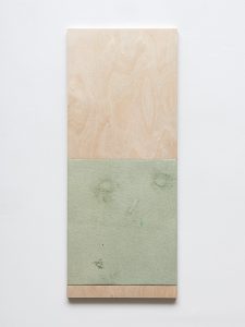 Fredrik Værslev - Untitled (Monochrome wall-flushing canopy for Bonner Kunstverein) - 2017