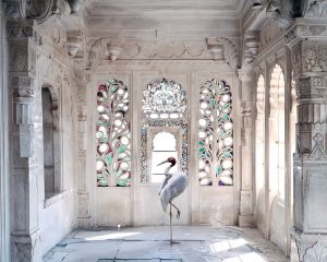Karen Knorr - A Place Like Amravati 2, Udaipur Palace, Udaipur, 2011 (from the series India Song) - 2020
