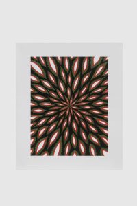 Fred Tomaselli - Scanner - 2020