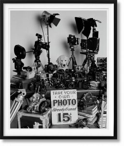 Bruce Weber - The Golden Retriever Photographic Society - Art Edition No. 101–200 ‘Hud, New York City, 2011’ - 2021