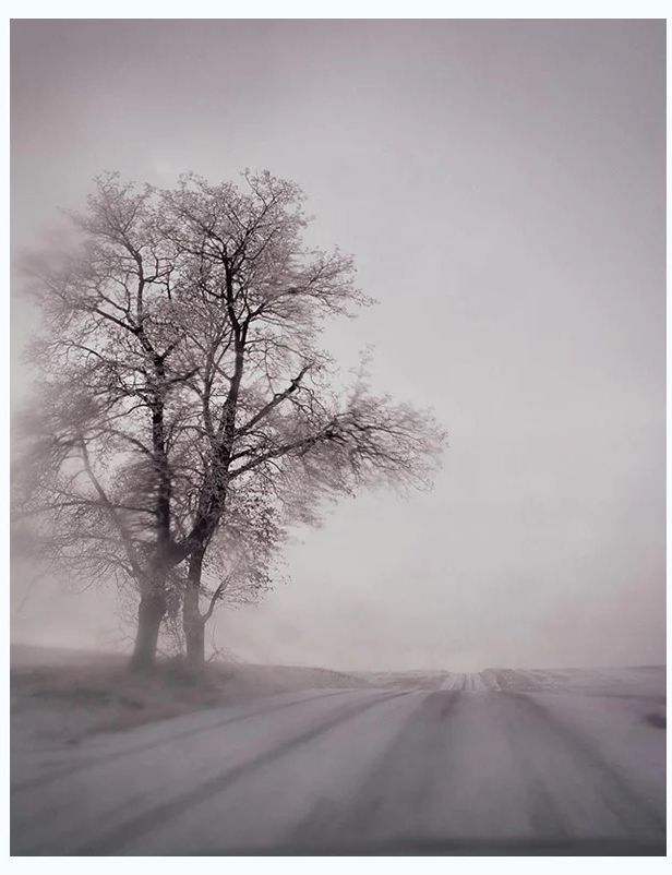 Todd Hido - #9216-B Excerpts from Silver Meadows - 2022