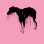 Rachel Howard - Black Dog (Pink) - 2023