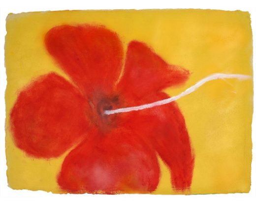 Alvaro Barrington - Red Hibiscus Yellow Light, Feb 2024 - 2024